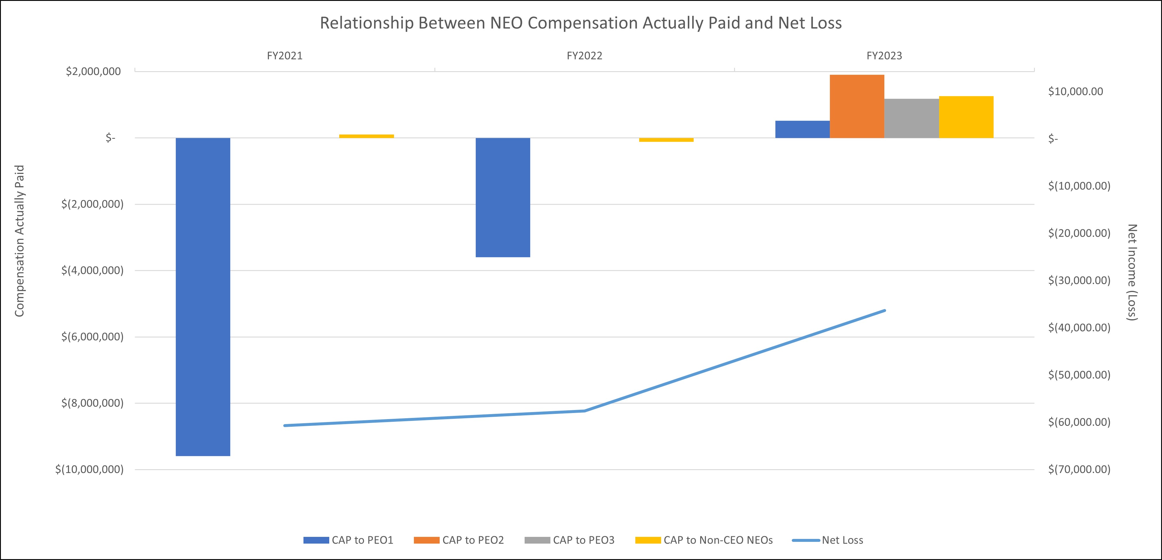 Relationship Between NEO Compensation Actually Paid and Net loss.jpg